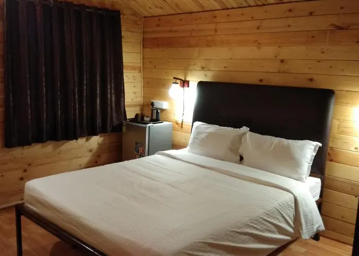 Lazy Frog Guest House