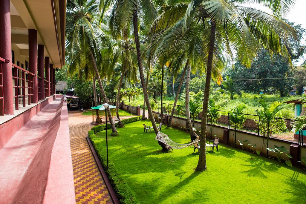 Lazy Frog Guest house 2*