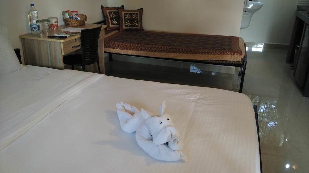 Lazy Frog Guest house
